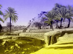 LES GRANDS DESERTS 6000017 FIGUIG L ENTREE DE LA PALMERAIE